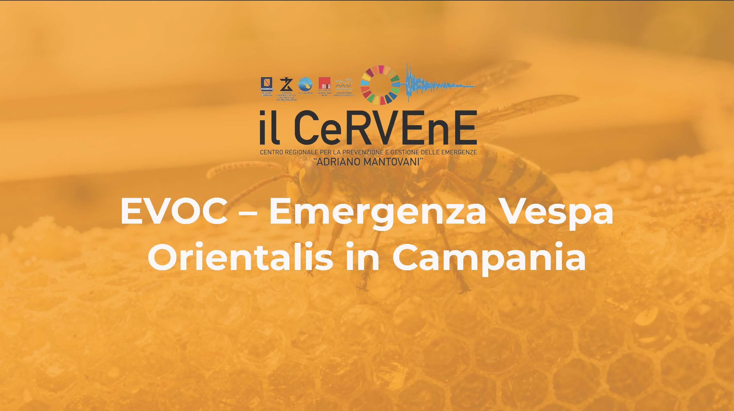 EVOC: From Crowdsourced Reports to Validated Territorial Intelligence